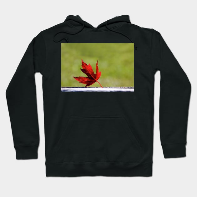 Happy Canada Day Hoodie by EugeJ